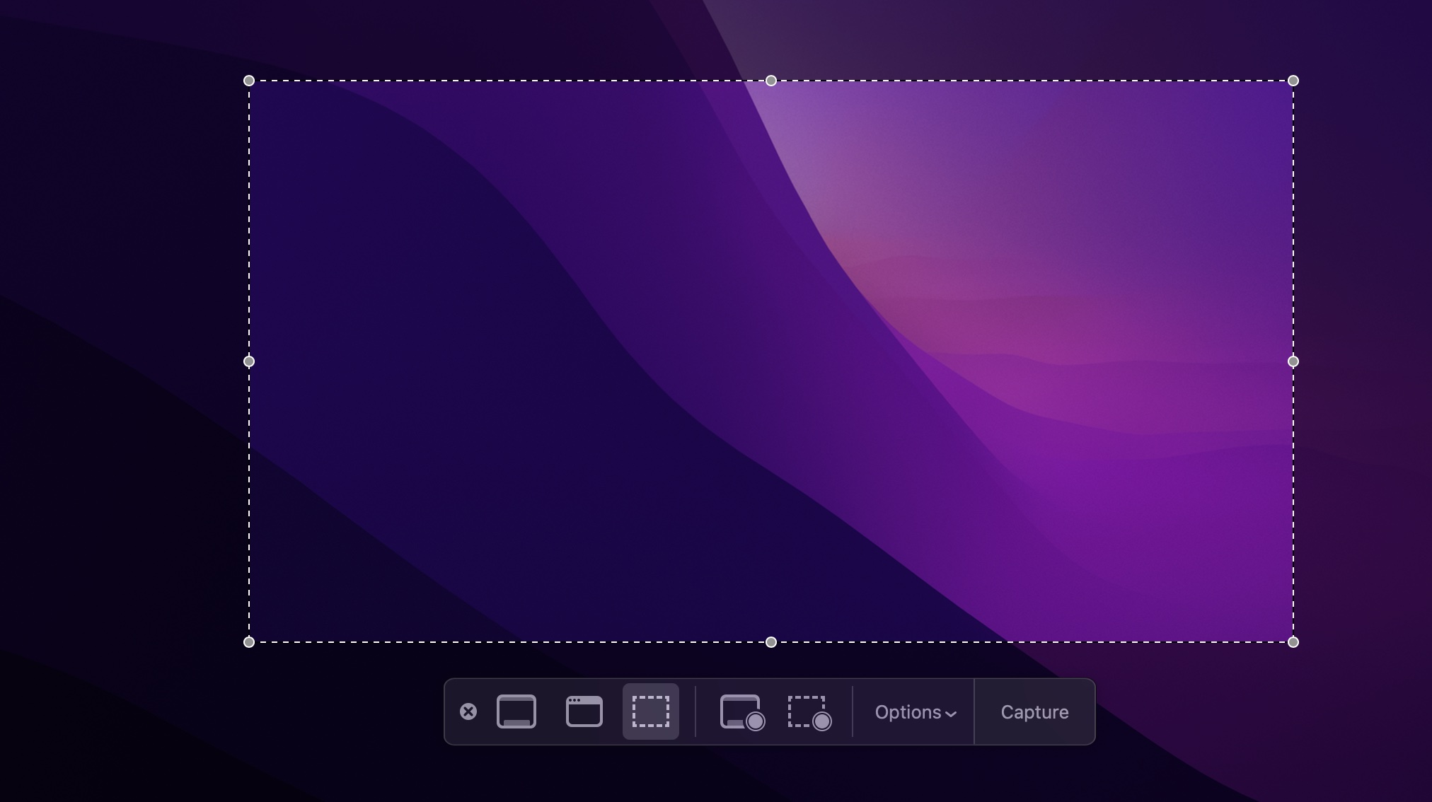 A screenshot of the Mac Screenshot app interface