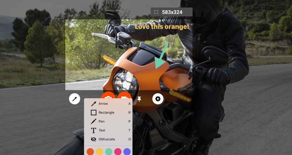 A screenshot of the Zappy image editing interface
