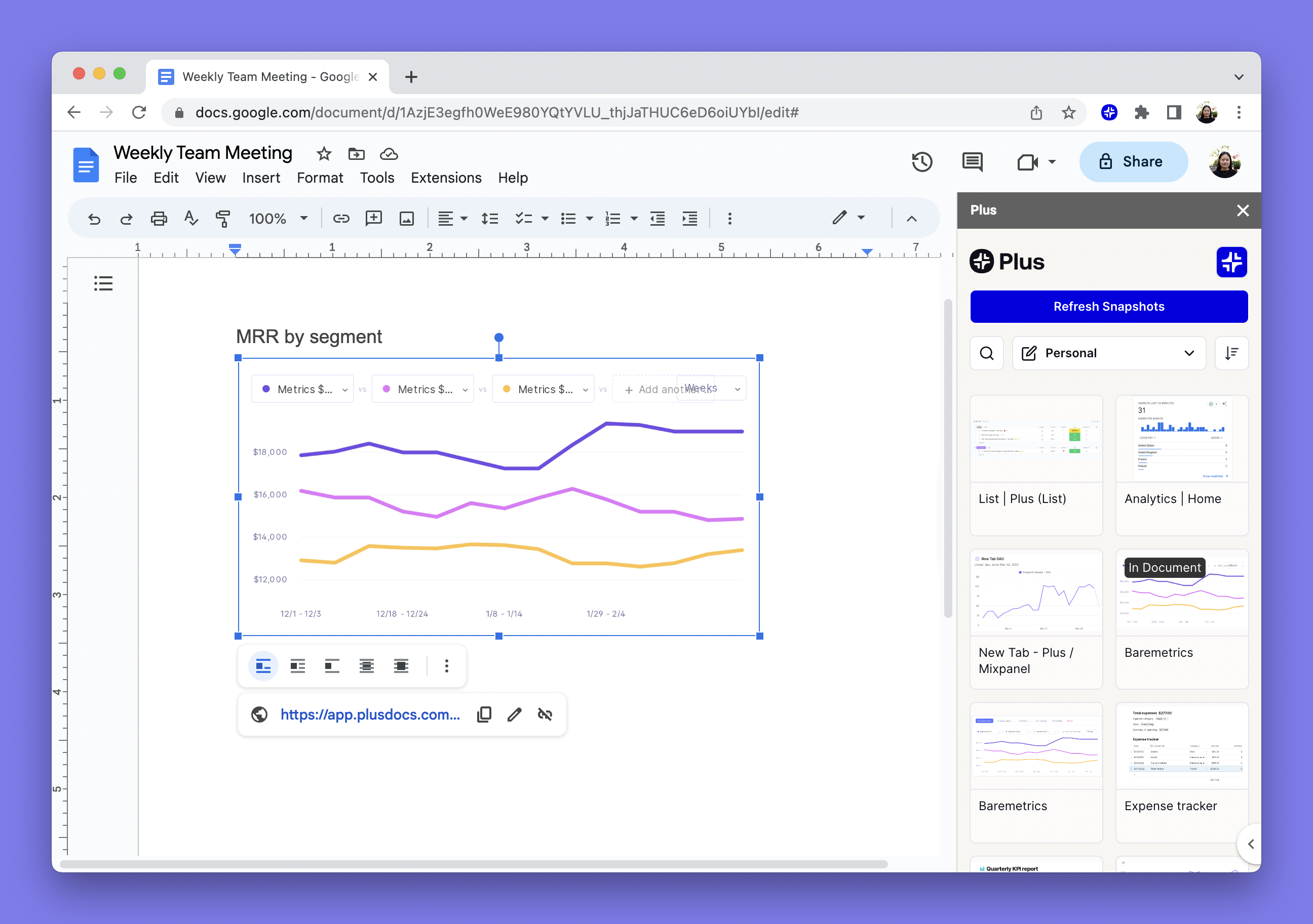 The Plus add-on sidebar in Google Docs, with a Snapshot added to the document.