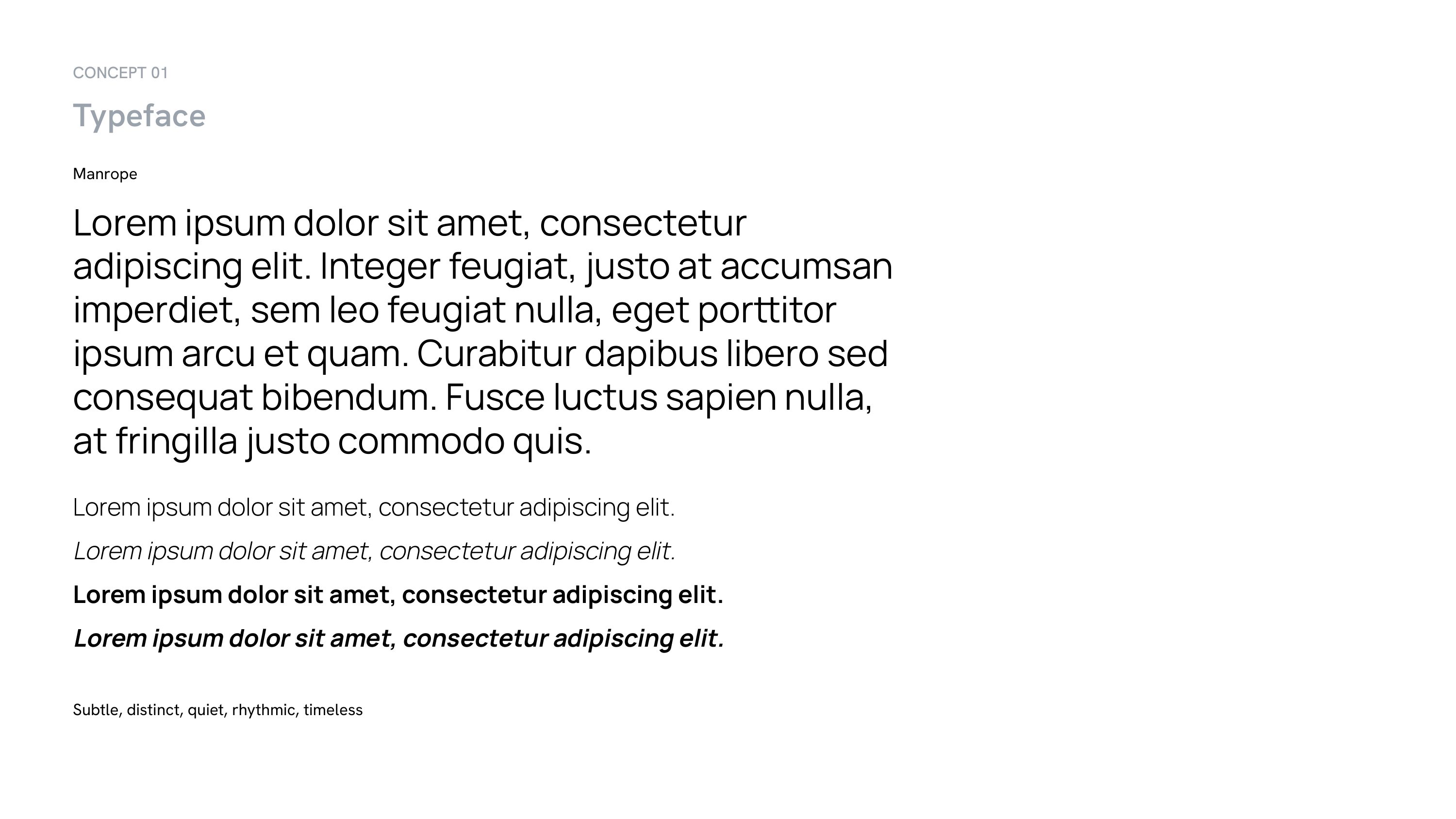 Brand and Logo Presentation Template — slide 16