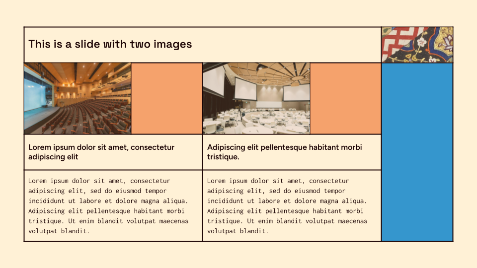 Brut Tigris — slide 10