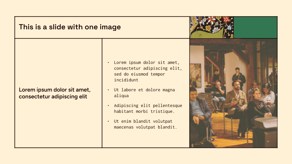 Brut Tigris — slide 11