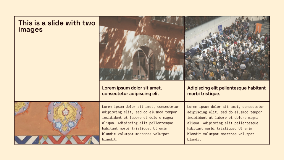 Brut Tigris — slide 18