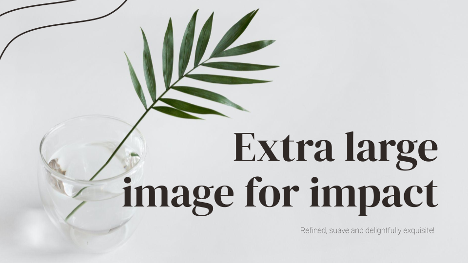Elegant aesthetic presentation template — slide 5