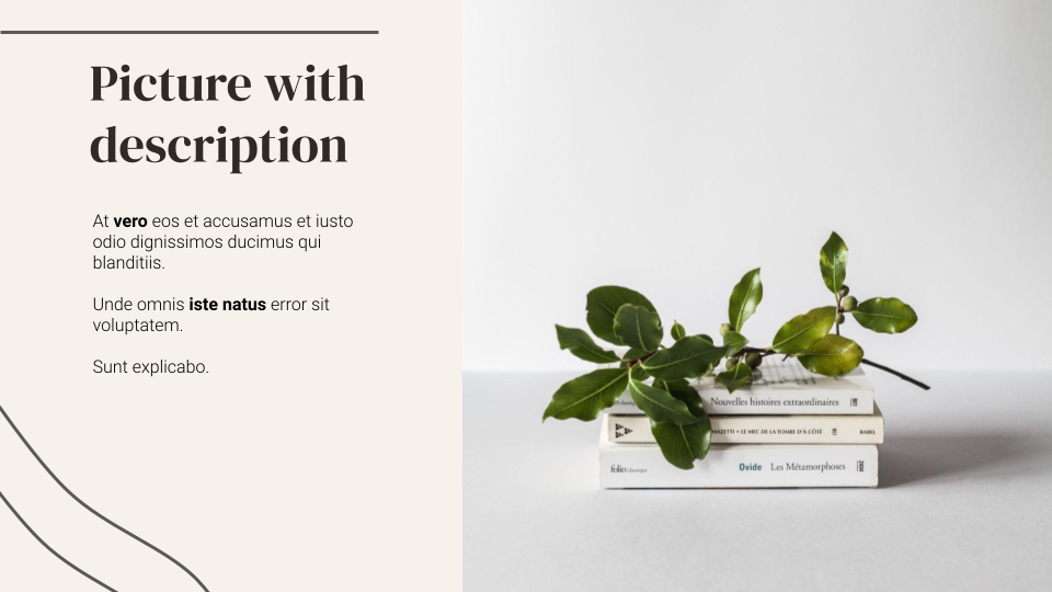 Elegant aesthetic presentation template — slide 6