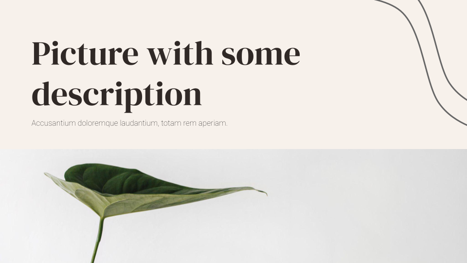 Elegant aesthetic presentation template — slide 8