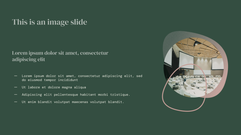 Forest Floor Presentation Template — slide 6