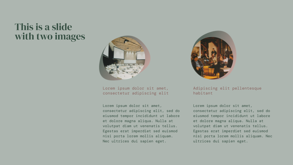 Forest Floor Presentation Template — slide 8