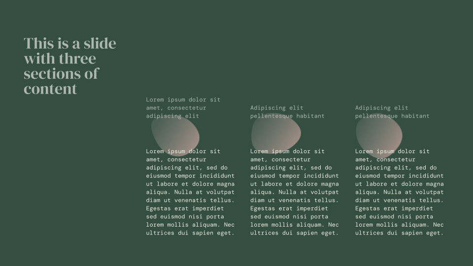 Forest Floor Presentation Template — slide 9