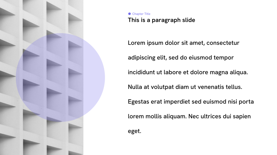 Modernist Professional Presentation Template — slide 3