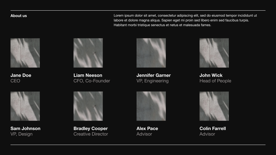 Swiss Dark Professional Presentation Template — slide 18